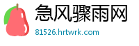 急风骤雨网